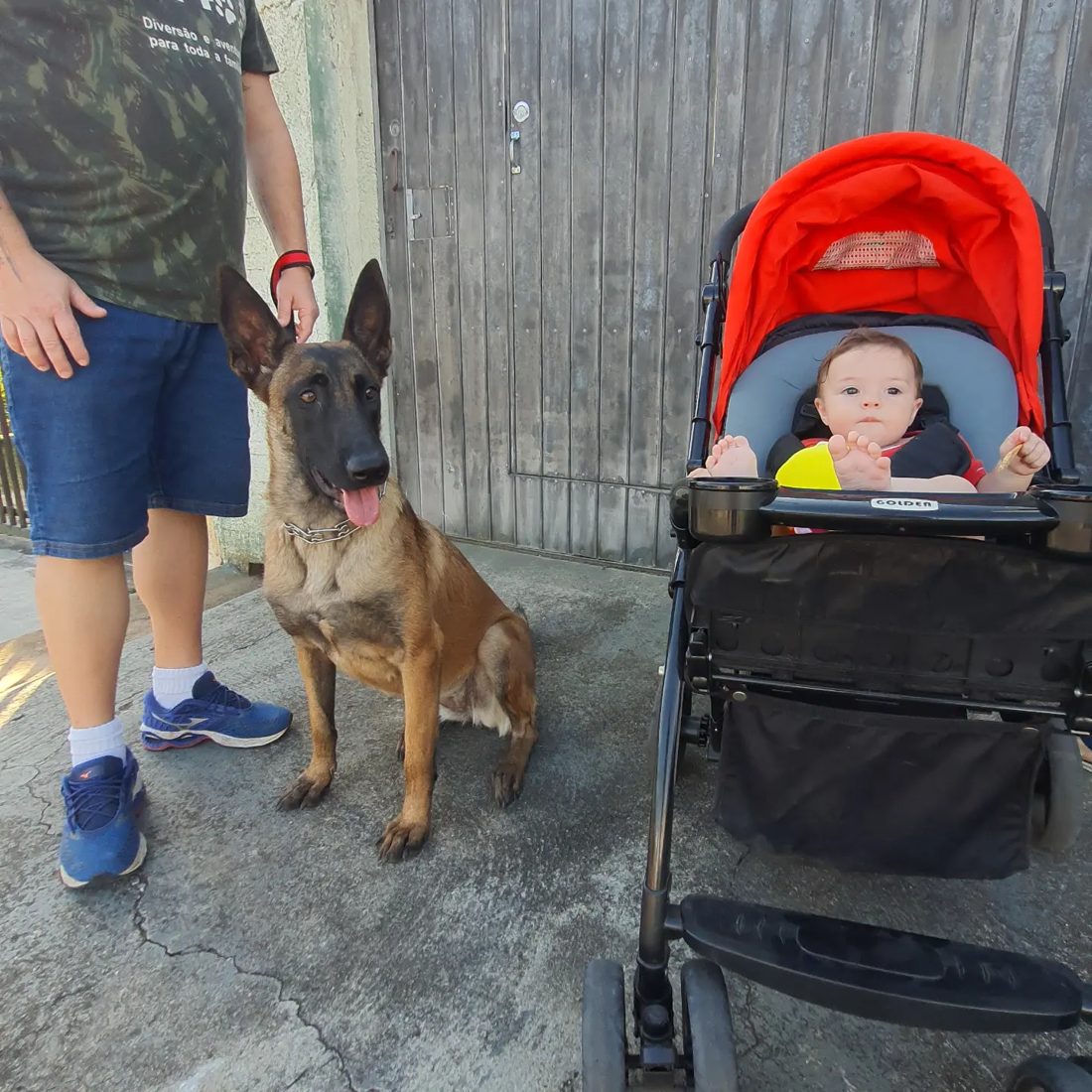 Strauss, aluno da Fox Dog
