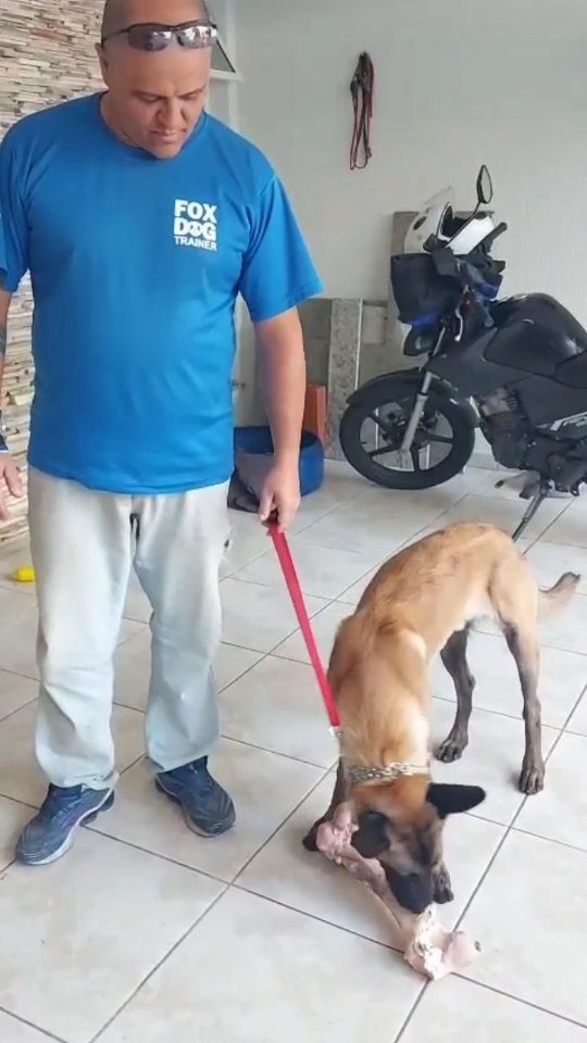 Peter Parker, aluno da Fox Dog